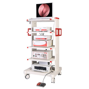 HLHED-2000 ENT Endoscope Set